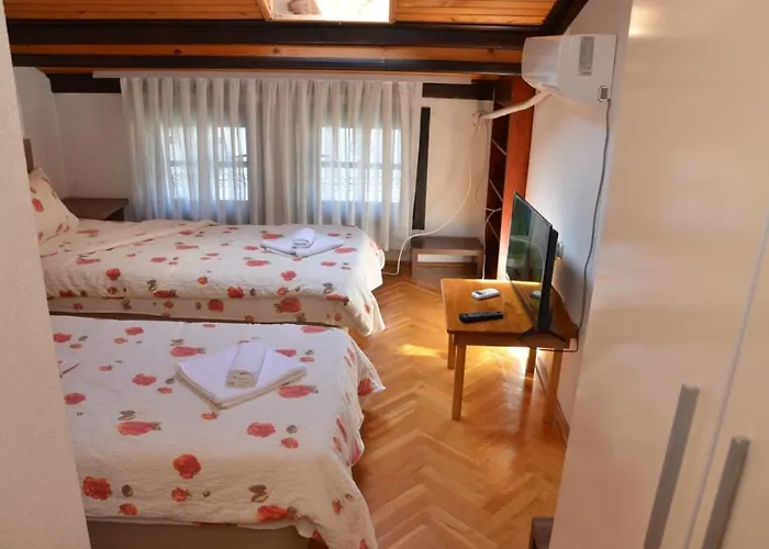Vila Delfin Ohrid